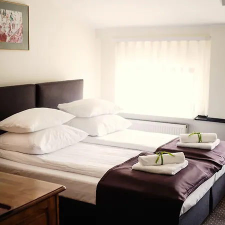 酒店 艾登酒店 3*