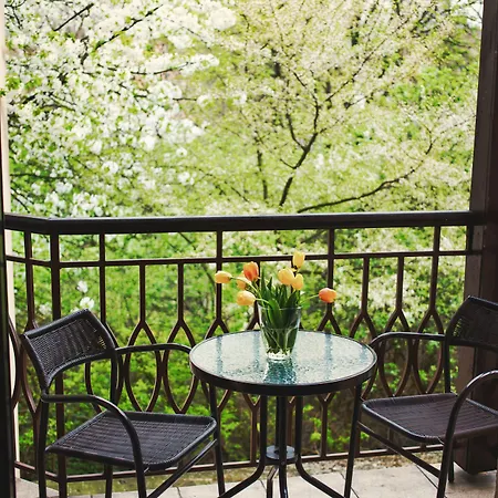 酒店 艾登酒店 3*